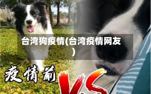 台湾狗疫情(台湾疫情网友)