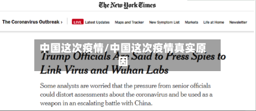 中国这次疫情/中国这次疫情真实原因