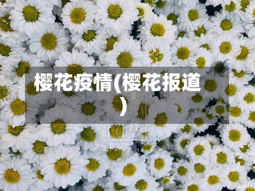 樱花疫情(樱花报道)