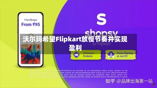 沃尔玛希望Flipkart放慢节奏并实现盈利