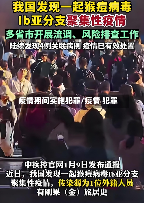 疫情期间实施犯罪/疫情 犯罪